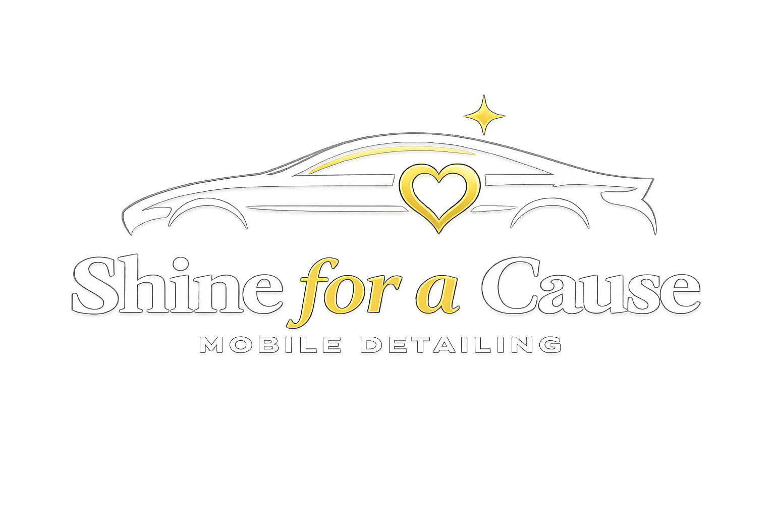 Shine for a Cause Mobile Auto Detailing — Fort Collins, Northern Colorado